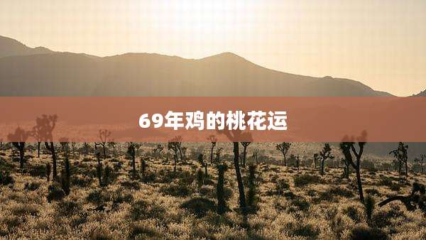 69年鸡的桃花运