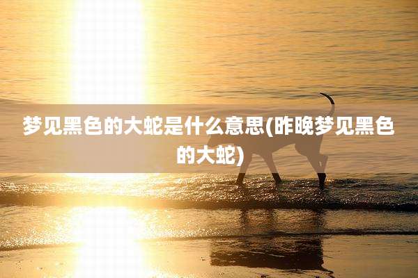 梦见黑色的大蛇是什么意思(昨晚梦见黑色的大蛇)