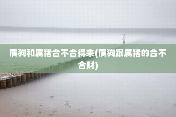 属狗和属猪合不合得来(属狗跟属猪的合不合财)