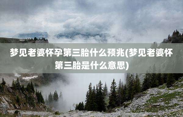 梦见老婆怀孕第三胎什么预兆(梦见老婆怀第三胎是什么意思)