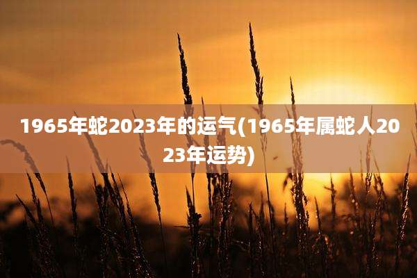 1965年蛇2023年的运气(1965年属蛇人2023年运势)