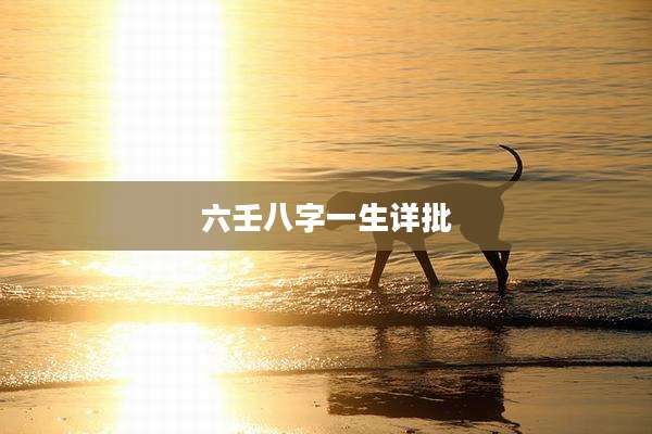 六壬八字一生详批