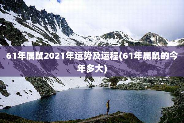 61年属鼠2021年运势及运程(61年属鼠的今年多大)