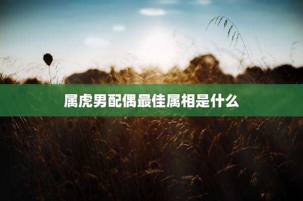 属虎男配偶最佳属相是什么