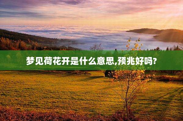 梦见荷花开是什么意思,预兆好吗?