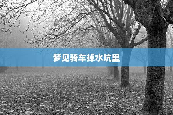 梦见骑车掉水坑里