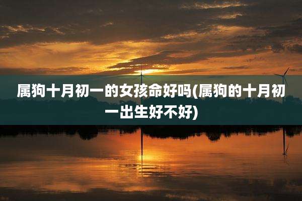 属狗十月初一的女孩命好吗(属狗的十月初一出生好不好)
