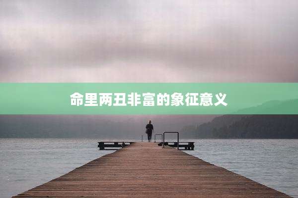 命里两丑非富的象征意义