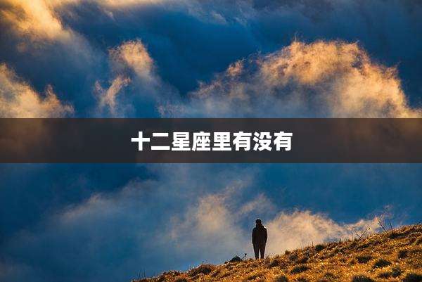 十二星座里有没有