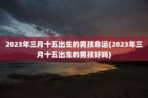 2023年三月十五出生的男孩命运(2023年三月十五出生的男孩好吗)
