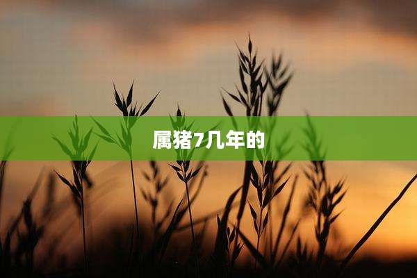属猪7几年的