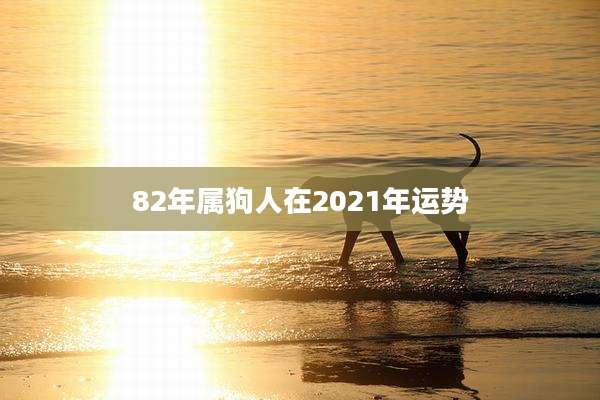 82年属狗人在2021年运势