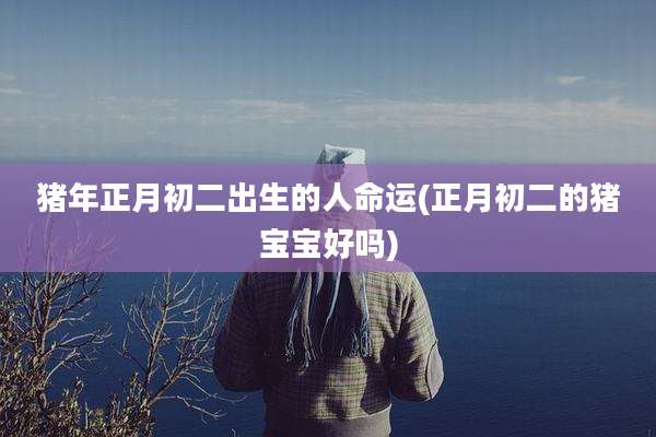 猪年正月初二出生的人命运(正月初二的猪宝宝好吗)