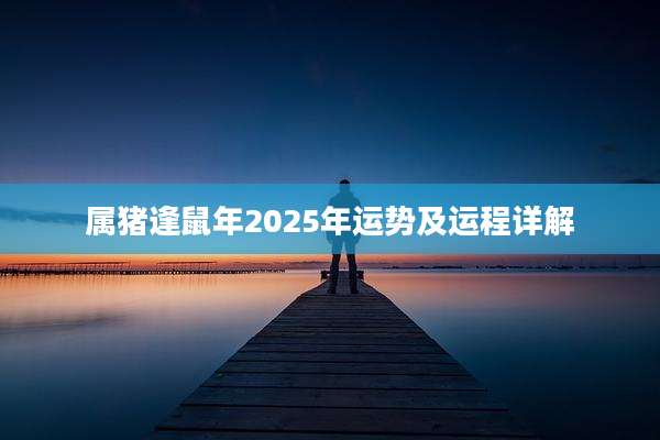 属猪逢鼠年2025年运势及运程详解