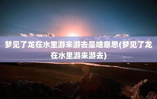 梦见了龙在水里游来游去是啥意思(梦见了龙在水里游来游去)
