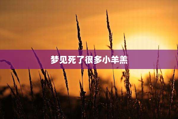 梦见死了很多小羊羔