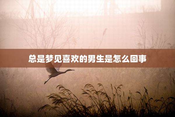 总是梦见喜欢的男生是怎么回事