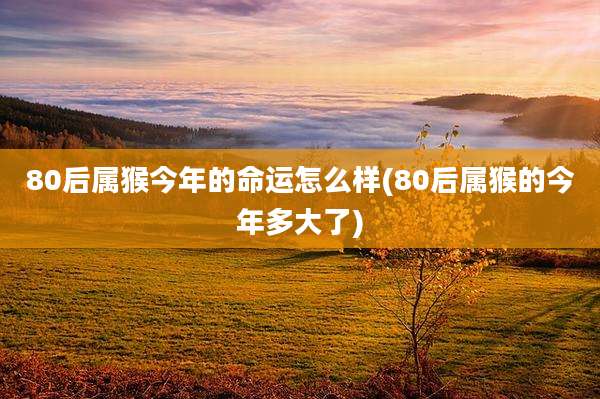 80后属猴今年的命运怎么样(80后属猴的今年多大了)