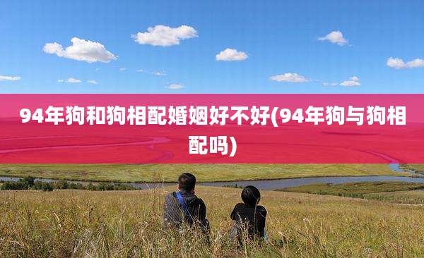 94年狗和狗相配婚姻好不好(94年狗与狗相配吗)