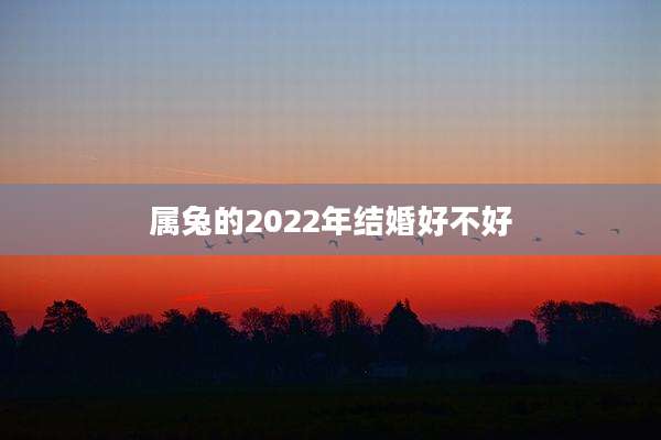 属兔的2022年结婚好不好