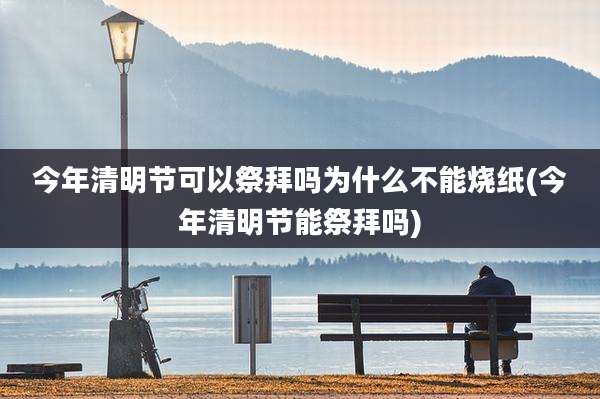 今年清明节可以祭拜吗为什么不能烧纸(今年清明节能祭拜吗)