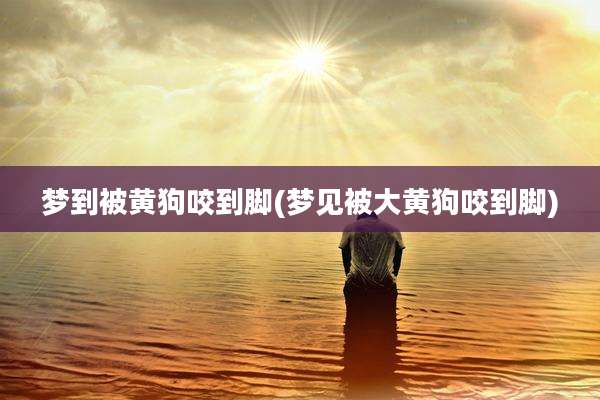 梦到被黄狗咬到脚(梦见被大黄狗咬到脚)