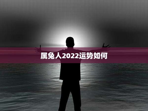 属兔人2022运势如何