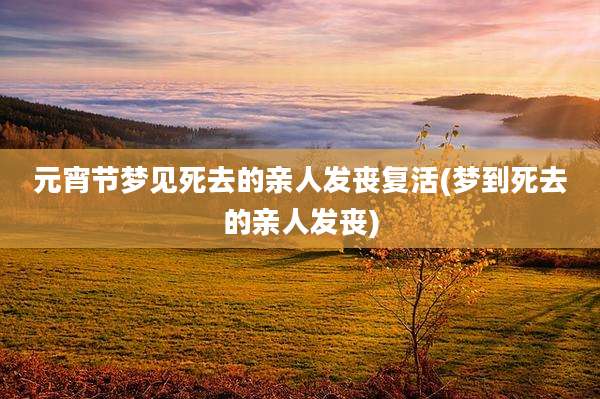 元宵节梦见死去的亲人发丧复活(梦到死去的亲人发丧)