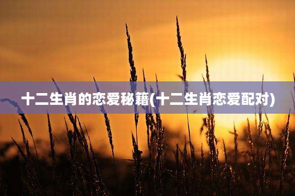 十二生肖的恋爱秘籍(十二生肖恋爱配对)