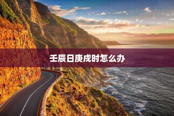 壬辰日庚戍时怎么办