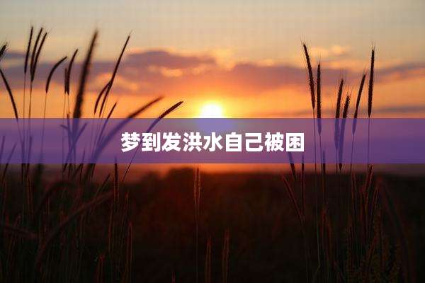 梦到发洪水自己被困