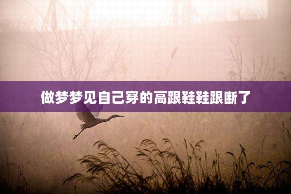 做梦梦见自己穿的高跟鞋鞋跟断了