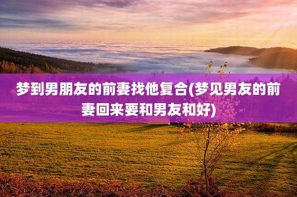 梦到男朋友的前妻找他复合(梦见男友的前妻回来要和男友和好)