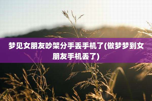 梦见女朋友吵架分手丢手机了(做梦梦到女朋友手机丢了)