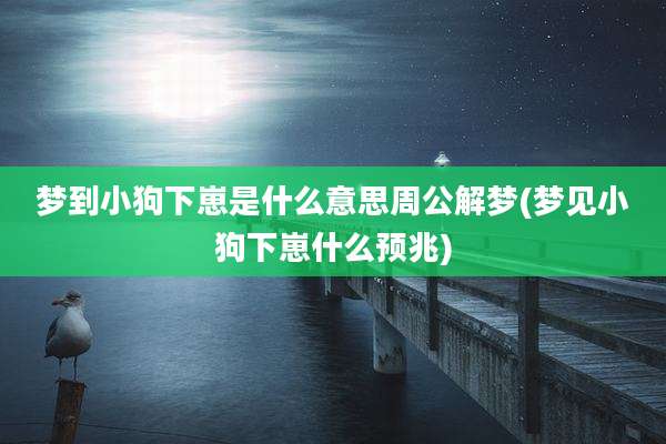 梦到小狗下崽是什么意思周公解梦(梦见小狗下崽什么预兆)