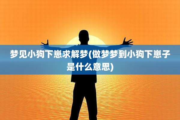 梦见小狗下崽求解梦(做梦梦到小狗下崽子是什么意思)