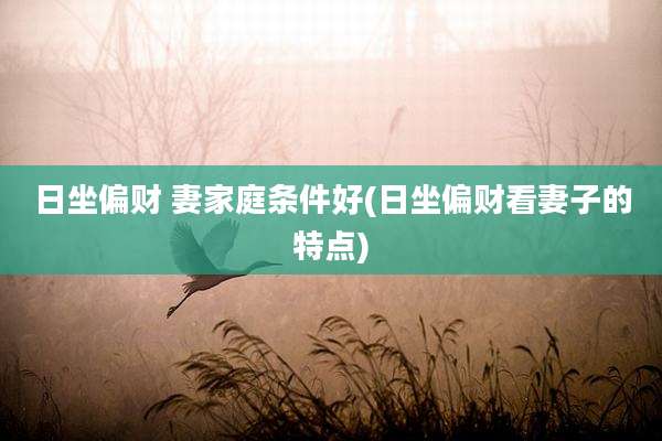 日坐偏财 妻家庭条件好(日坐偏财看妻子的特点)