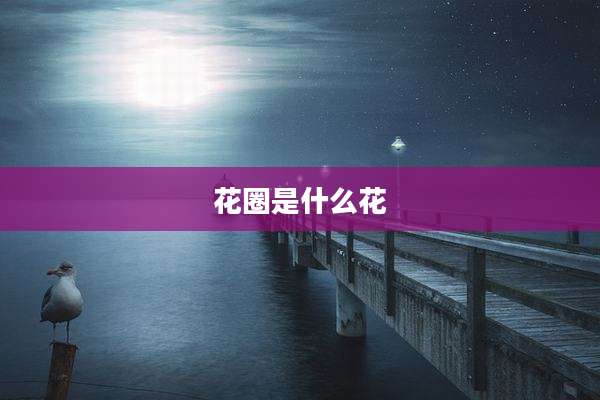 花圈是什么花