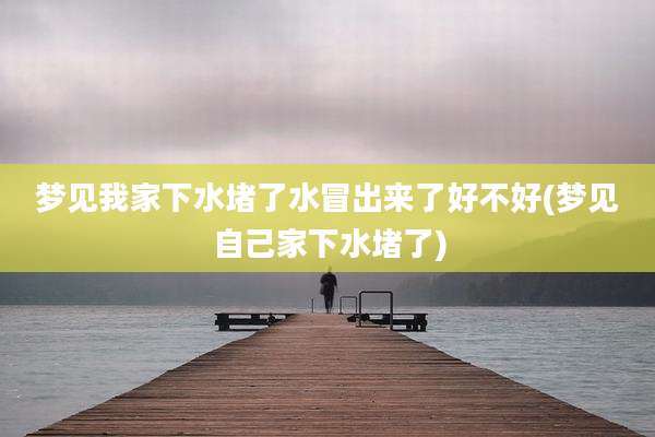 梦见我家下水堵了水冒出来了好不好(梦见自己家下水堵了)