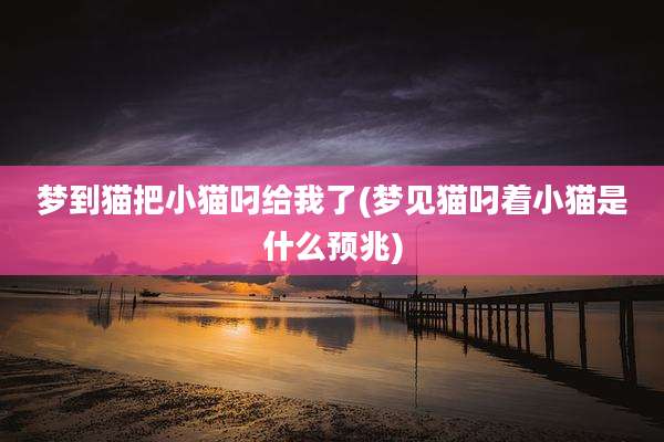 梦到猫把小猫叼给我了(梦见猫叼着小猫是什么预兆)