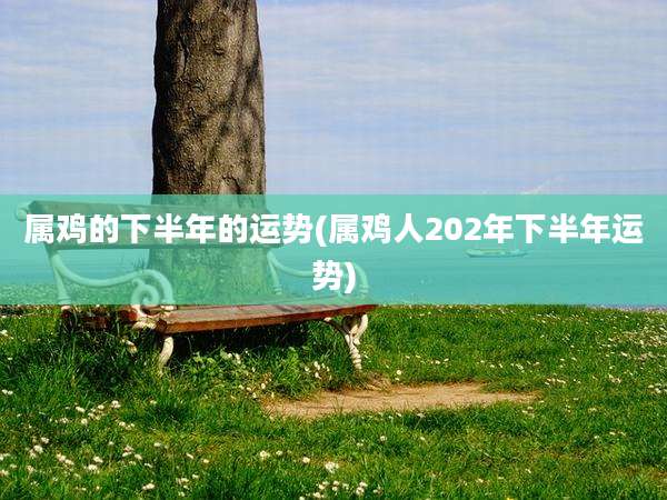 属鸡的下半年的运势(属鸡人202年下半年运势)