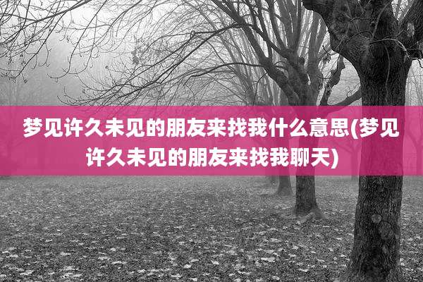梦见许久未见的朋友来找我什么意思(梦见许久未见的朋友来找我聊天)