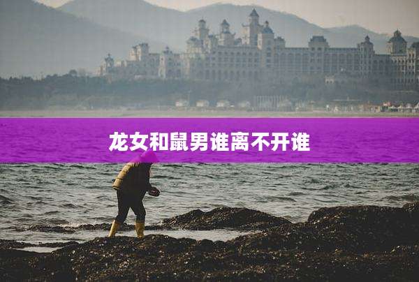 龙女和鼠男谁离不开谁