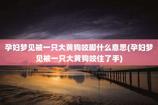 孕妇梦见被一只大黄狗咬脚什么意思(孕妇梦见被一只大黄狗咬住了手)