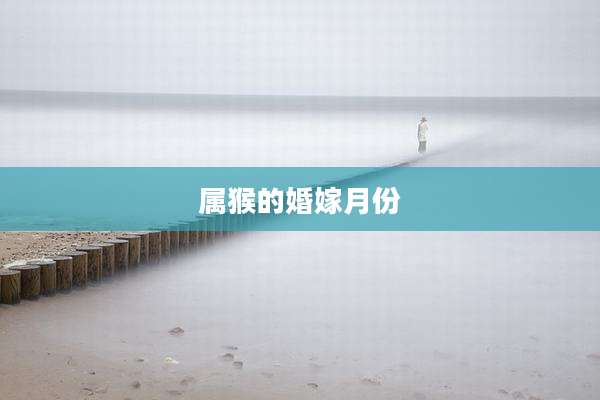 属猴的婚嫁月份