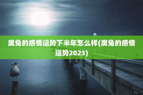属兔的感情运势下半年怎么样(属兔的感情运势2023)