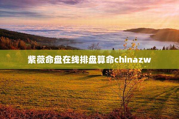 紫薇命盘在线排盘算命chinazw
