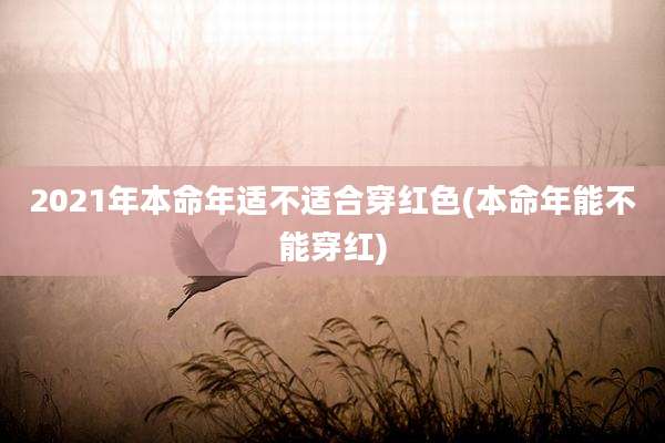 2021年本命年适不适合穿红色(本命年能不能穿红)