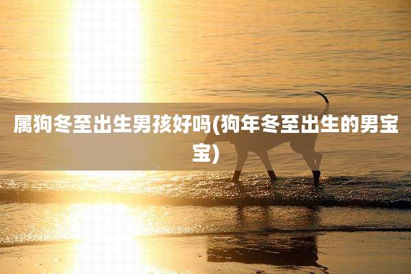 属狗冬至出生男孩好吗(狗年冬至出生的男宝宝)