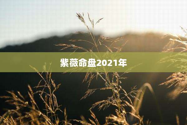 紫薇命盘2021年